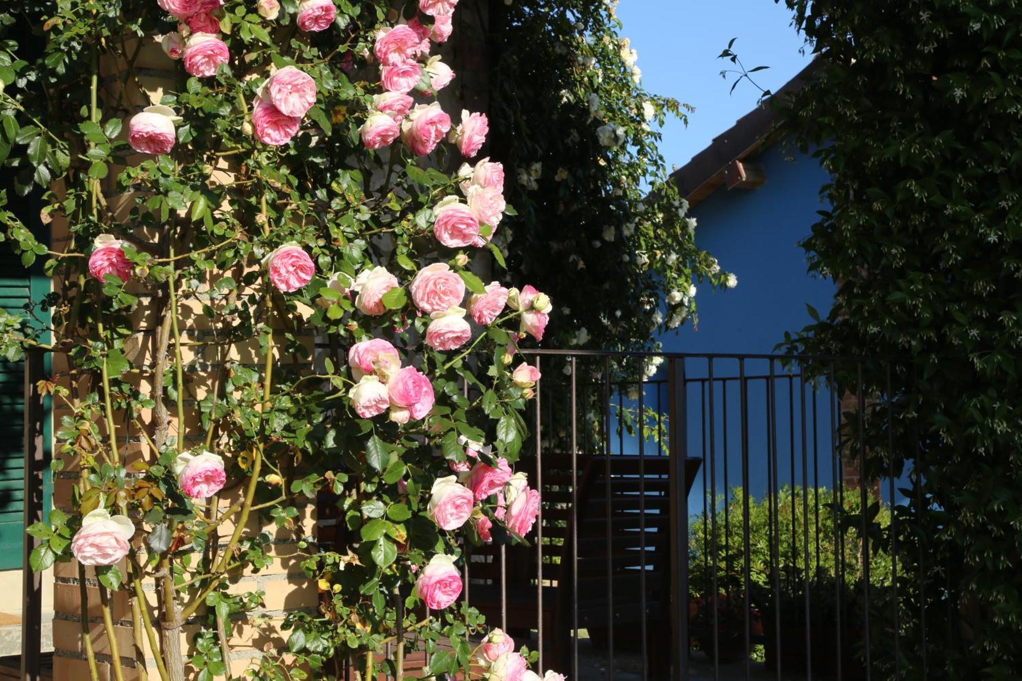 הוילה מליאנו אין טוסקנה Casa Maria מראה חיצוני תמונה